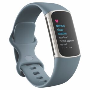 Fitbit Charge 5 Tracker Steel Blue & Platinum – 79-FB421SRBU