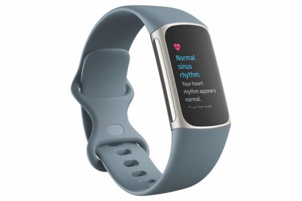 Fitbit Charge 5 Tracker Steel Blue & Platinum - 79-FB421SRBU