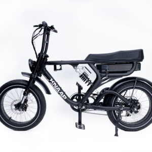 222-EU-RTD-027251 KNAAP 250W ELECTRIC BIKE – BLACK