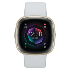 FITBIT 79-FB521GLBM